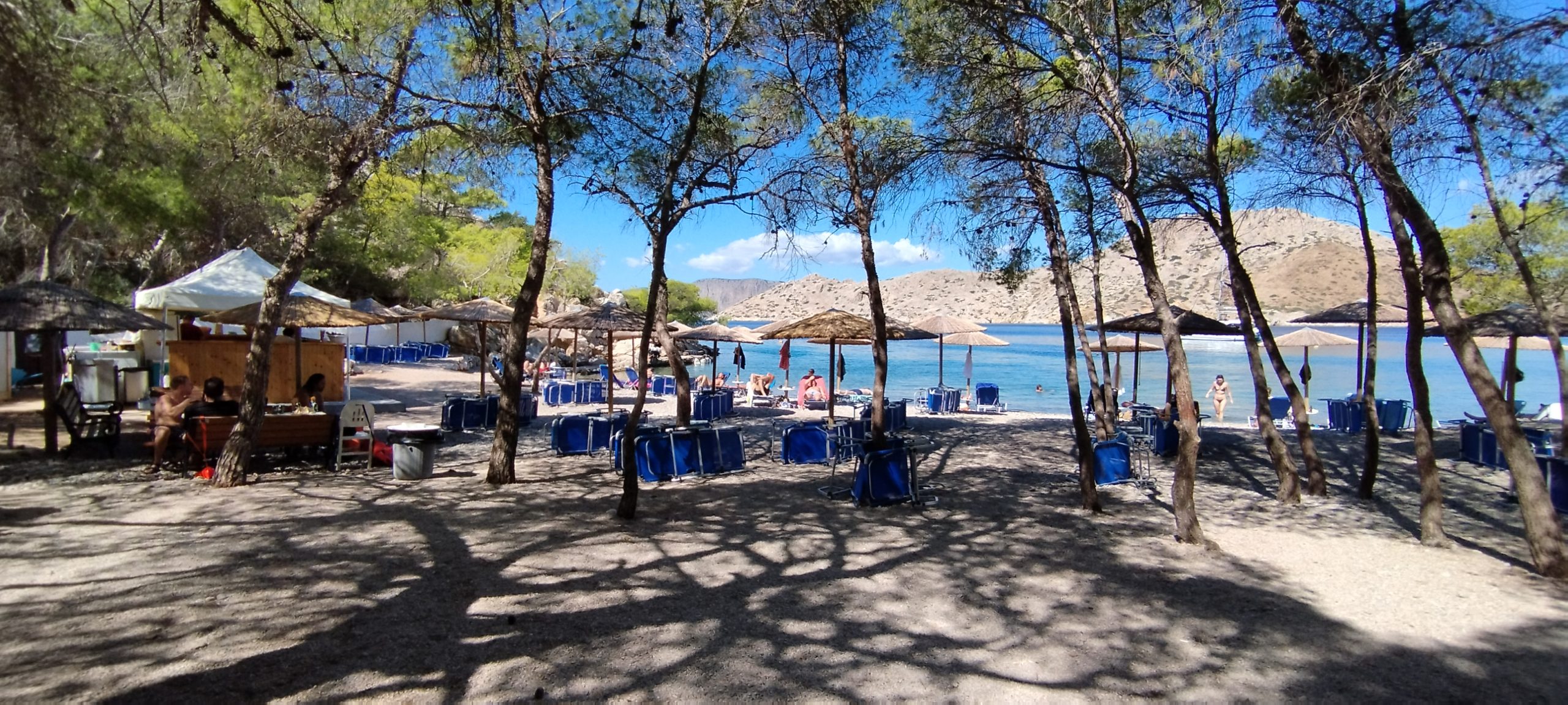 La plage de Bisti, à Hydra, à l'ombre des pins