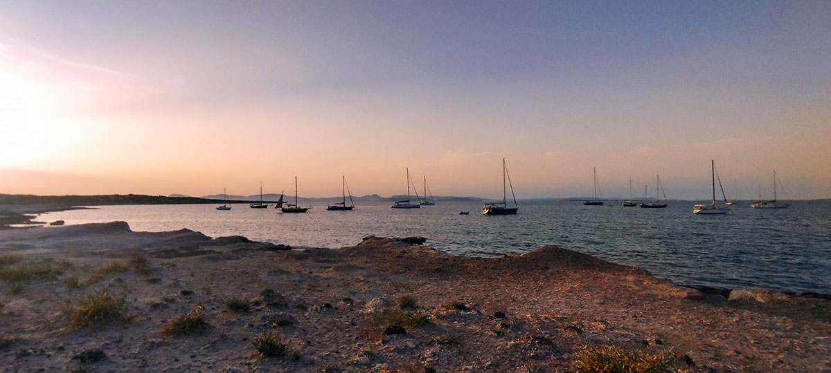Yachts at anchor off a low shore, at dusk