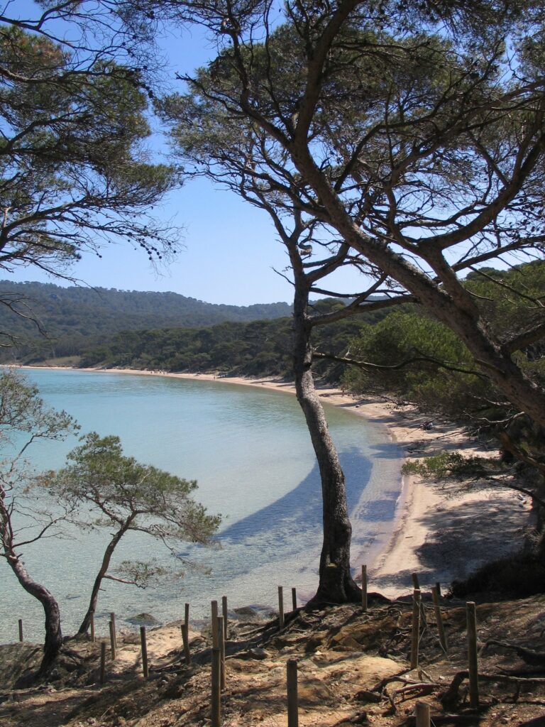 Vela privada Costa Azul — Una cala enmarcada por pinos, Porquerolles (foto Jean-pierre olivier, CC BY-SA 4.0)