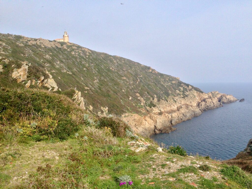 Vela privada Costa Azul — Los acantilados de la isla del Levant (foto Sardon, CC BY-SA 4.0)