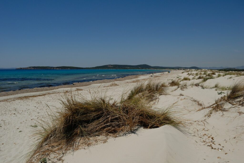 Crucero velero Cerdeña — Las dunas de Porto Pino (foto Claribo, CC BY-SA 4.0)