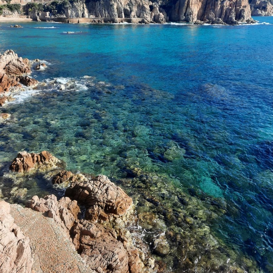 Clear water over red rock, Costa Brava